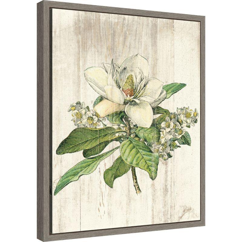 Amanti Art Magnolia de Printemps Flower by Sue Schlabach Canvas Wall Art Print Framed 16 x 20-in.