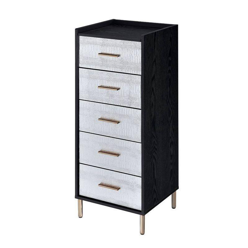 Myles 17" Armoires - Acme Furniture: Metal Frame, 5-Door Jewelry Storage, No Assembly Required