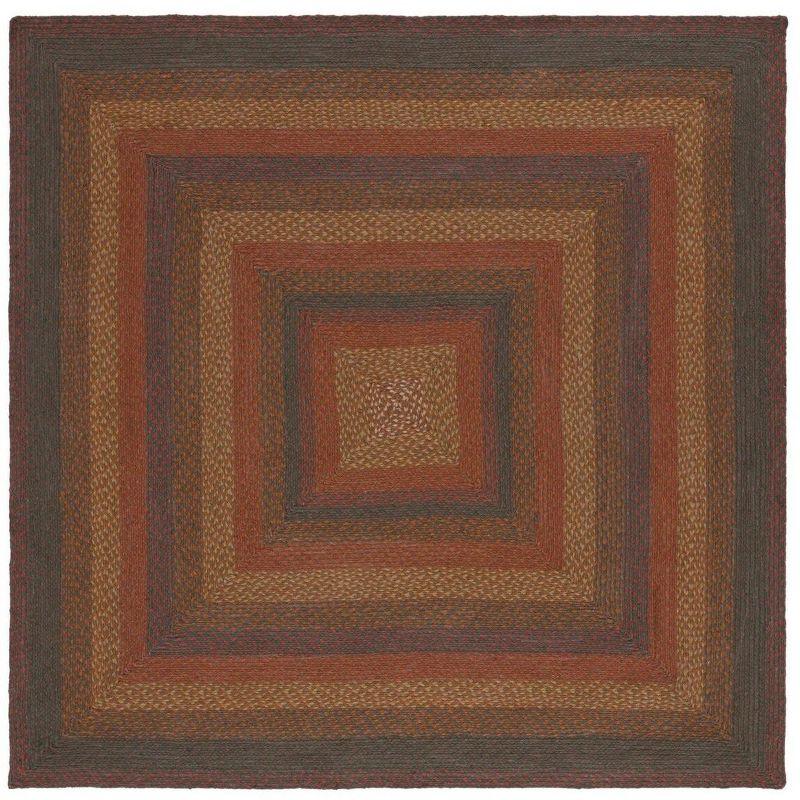Braided BRD652 Flat Weave Indoor Area Rug - Green/Rust - 6'x6' - Safavieh