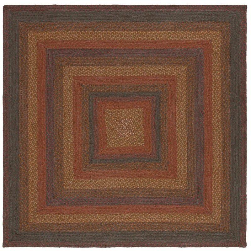 Braided BRD652 Power Loomed Area Rug  - Safavieh