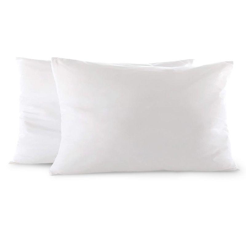 Throw Pillow (Set of 2)