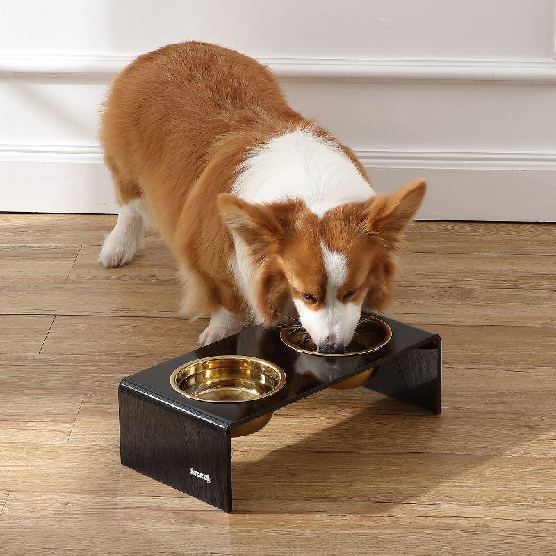 THE LICKER STORE Keaton Modern Lucite Rectangular Elevated Pet Feeder with 2-Stainless Steel Bowls