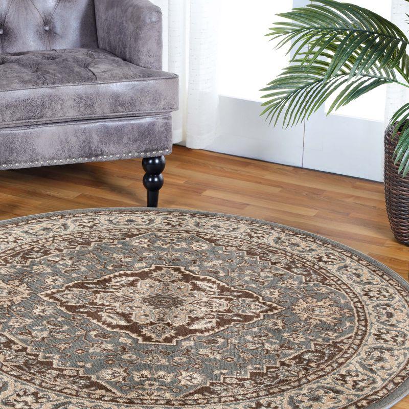 Traditional Vintage Medallion Floral Scroll Indoor Area Rug by Blue Nile Mills