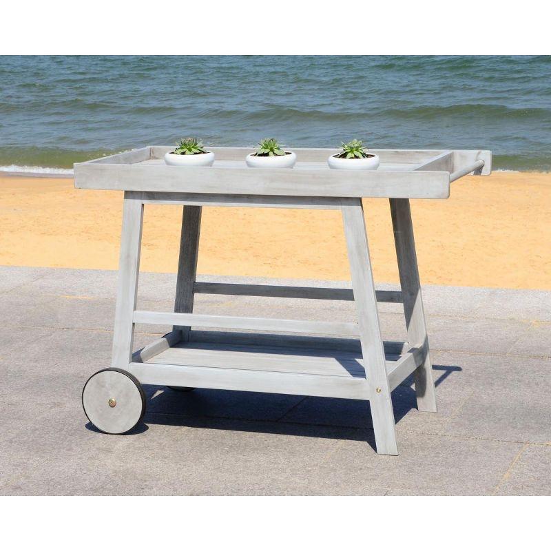 Transitional Eucalyptus Wood Bar Cart with Storage in Grey Wash