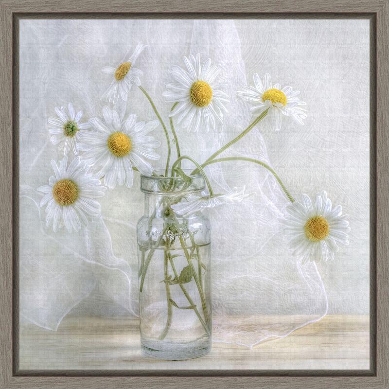 Amanti Art Daisies by Mandy Disher Canvas Wall Art Print Framed 16 x 16-in.