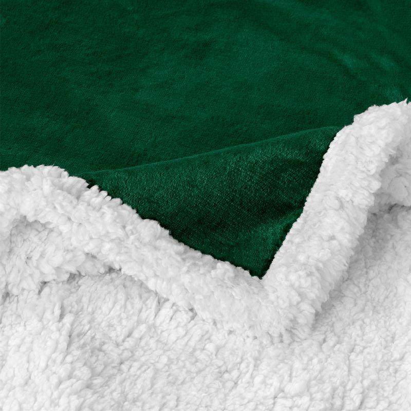 PAVILIA Premium Faux Shearling Fleece Throw Blanket for Bed, Reversible Warm Blanket for Couch Sofa