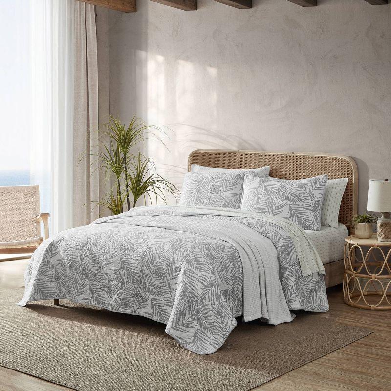 Tommy Bahama Palmday Cotton Reversible Quilt Set