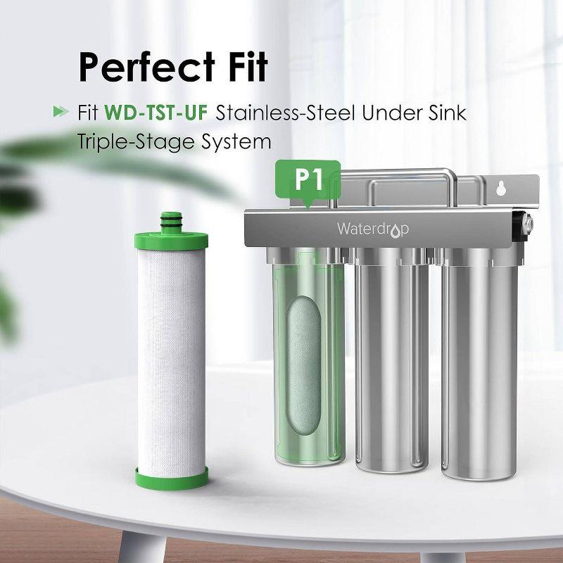 Waterdrop TST-UF Ultra-Filtration Under Sink Water Filter, Stainless Steel, 5X Service Life, Extra P1 Replacement Filter