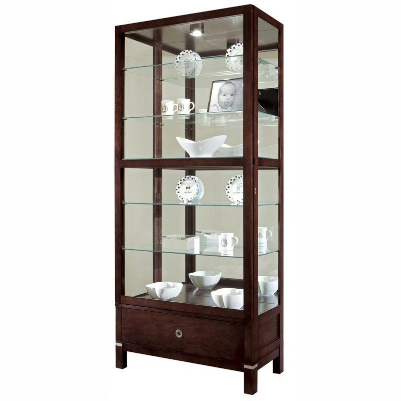 Espresso Traditional Lighted Curio Cabinet with Mirrored Back