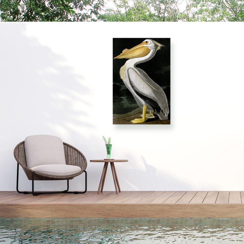 American White Pelican Canvas Outdoor Wall Art