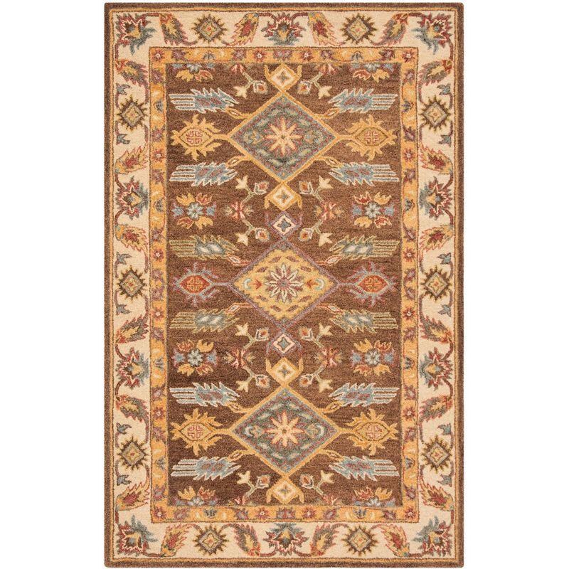 Antiquity AT502 Hand Tufted Area Rug - Dark Brown/Ivory - 6'x9' - Safavieh.
