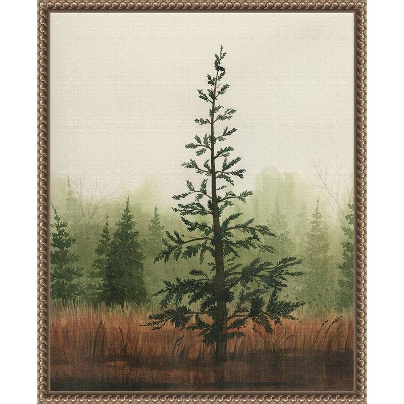 Amanti Art Young Evergreen II by Grace Popp Framed Canvas Wall Art Print