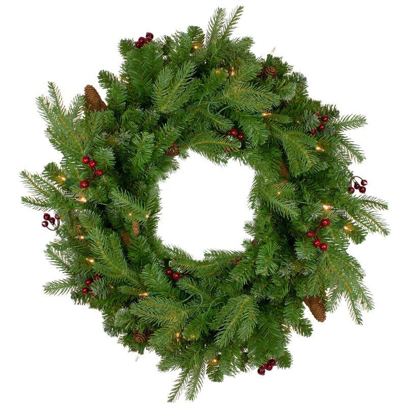 24" Pre-Lit Mixed Winter Berry Pine Artificial Christmas Wreath