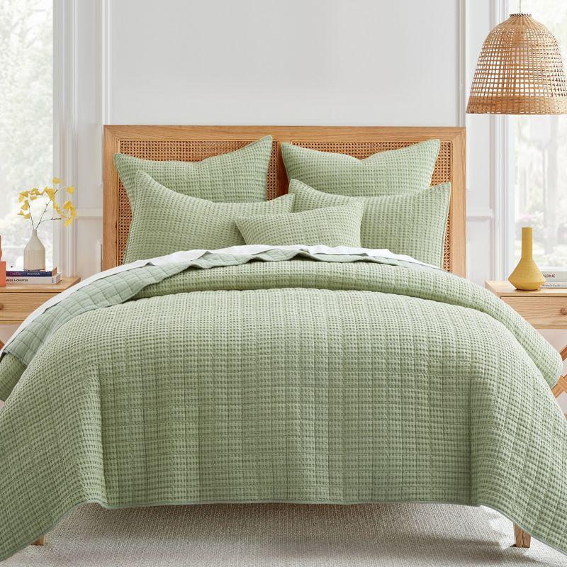 Mills Waffle Desert Sage Twin Quilt Set - Levtex Home