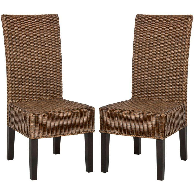 Arjun 18''H Wicker Dining Chair (Set of 2)  - Safavieh