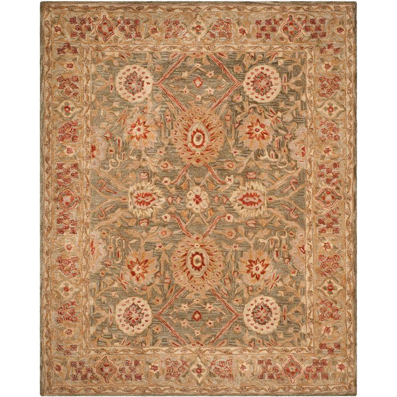 Anatolia AN516 Hand Tufted Indoor Area Rug - Brown/Ivory - 8'x10' - Safavieh