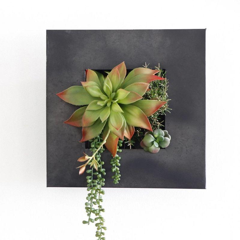 Modern Home Living Wall Galvanized Steel/Zinc Succulent Planter