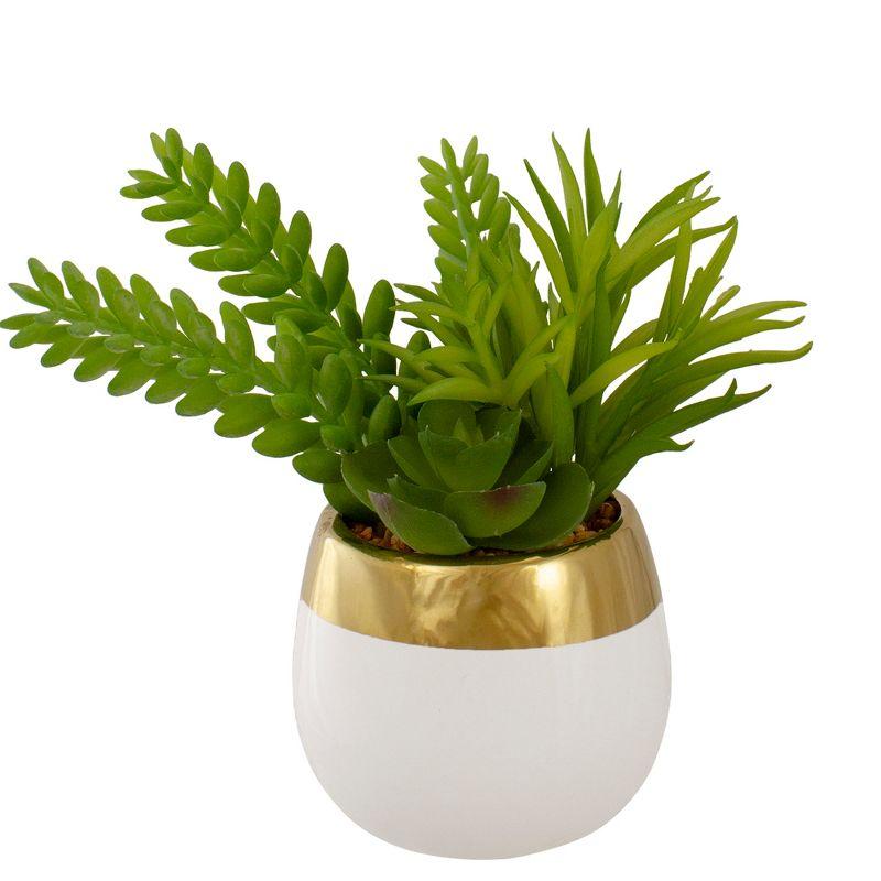 6.5'' Faux Succulent Plant in Ceramic Pot