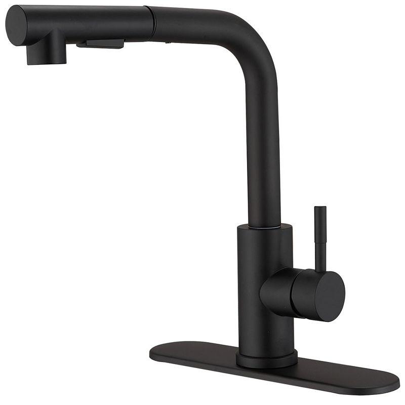 Matte Black Stainless Steel Pull-Out Spray Kitchen Faucet