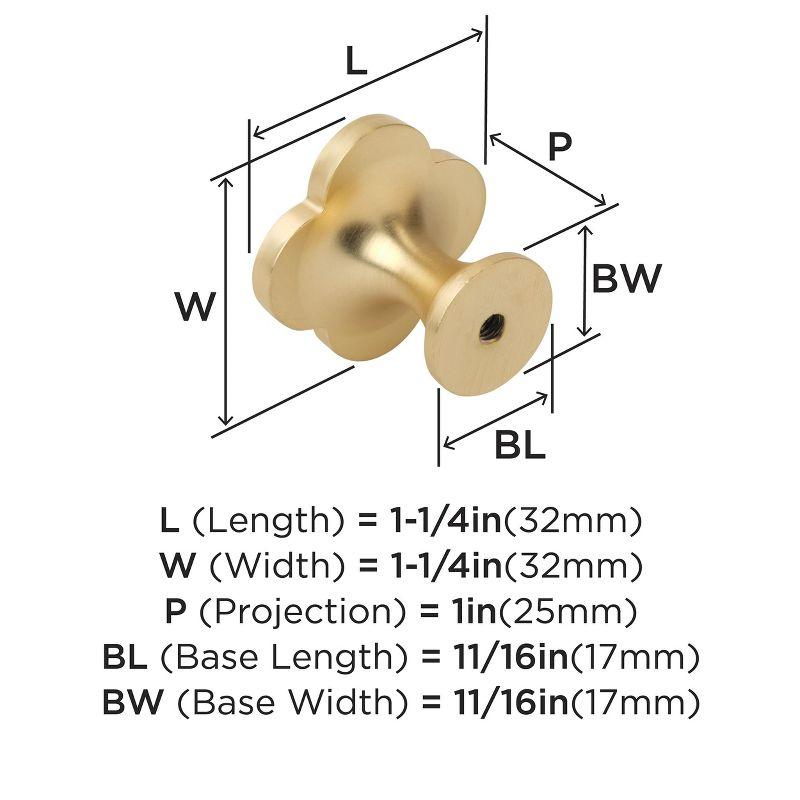 Accents 1 1/4" Length Novelty Knob Multipack