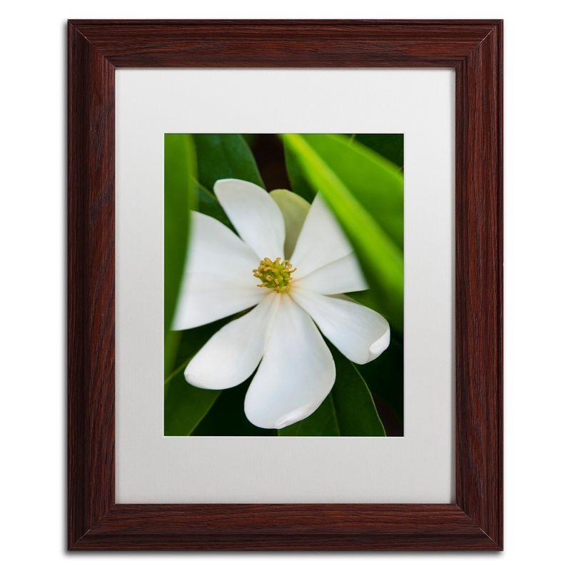 White Magnolia Flower Graphic Art on Canvas with Brown Wood Frame