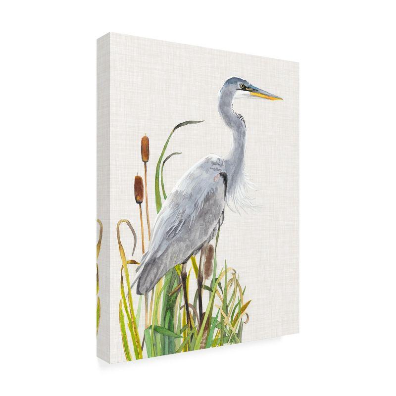Trademark Fine Art -Naomi Mccavitt 'Water Birds And Cattails I' Canvas Art