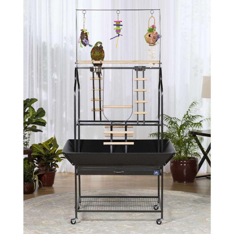 Prevue Pet Products Parrot Playstand with Wheels, Bird Stand Activity Play Center with Perches and Ladders,  Black Hammertone Finish