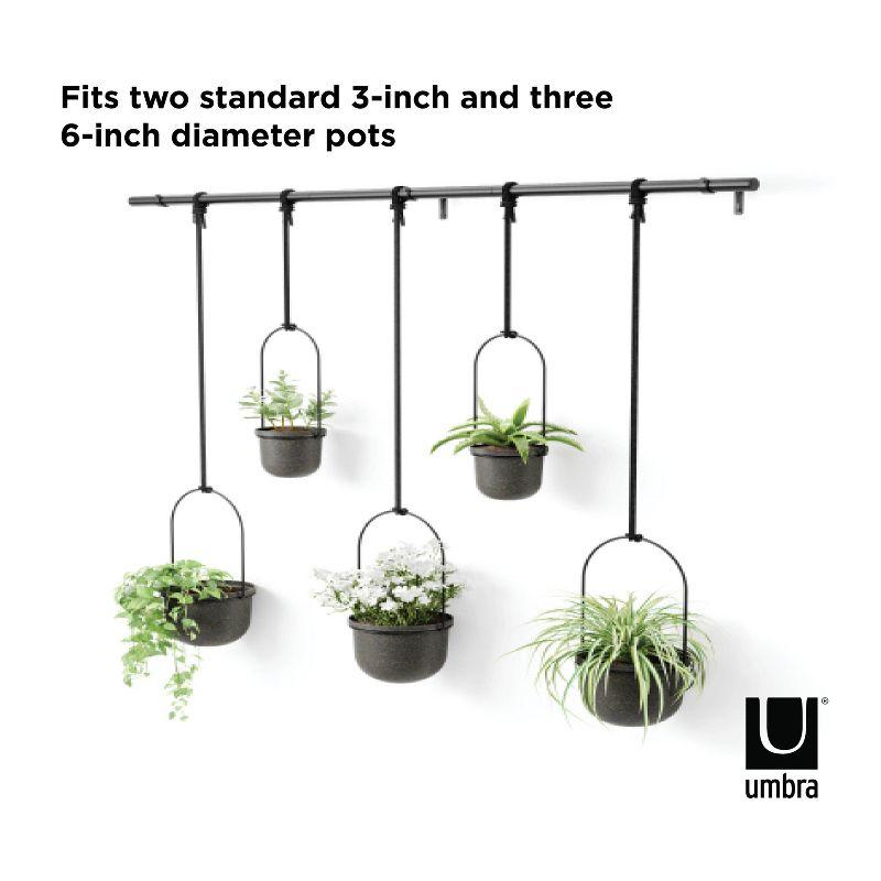 Triflora Large Hanging Planter