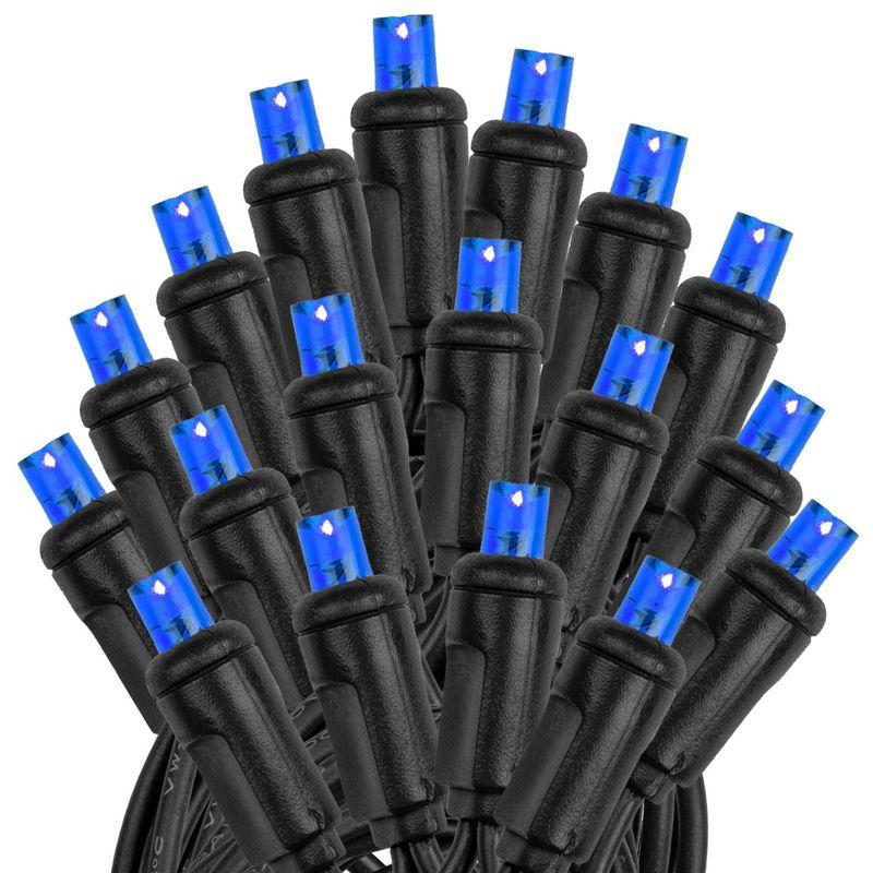 Novelty Lights 50 Light Blue LED Christmas Mini Light Set (Black Wire, 25 Feet)