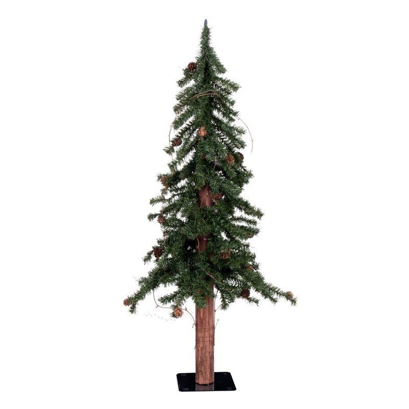 Rustic Alpine 3' Outdoor Christmas Tree with Pine Cones & Lights