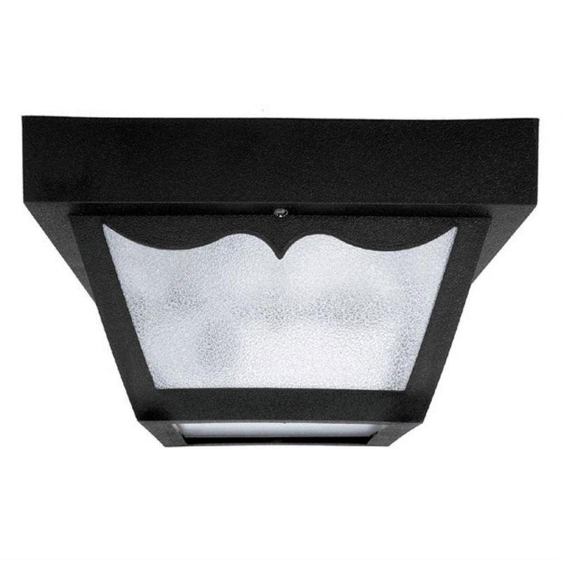 Black Textured Glass Indoor/Outdoor Flush Mount Light