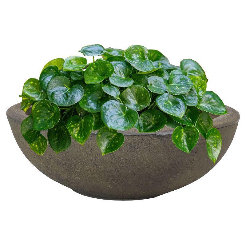 Sunnydaze Weather-Resistant Polyresin Double-Walled Percival Outdoor Flower Pot Planter - 20.75"