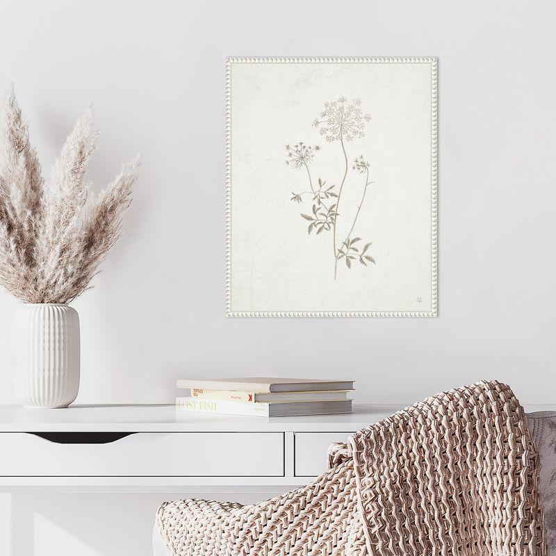 Amanti Art Plants from the Meadow III by Sarah Adams Canvas Wall Art Print Framed 16 x 20-in.