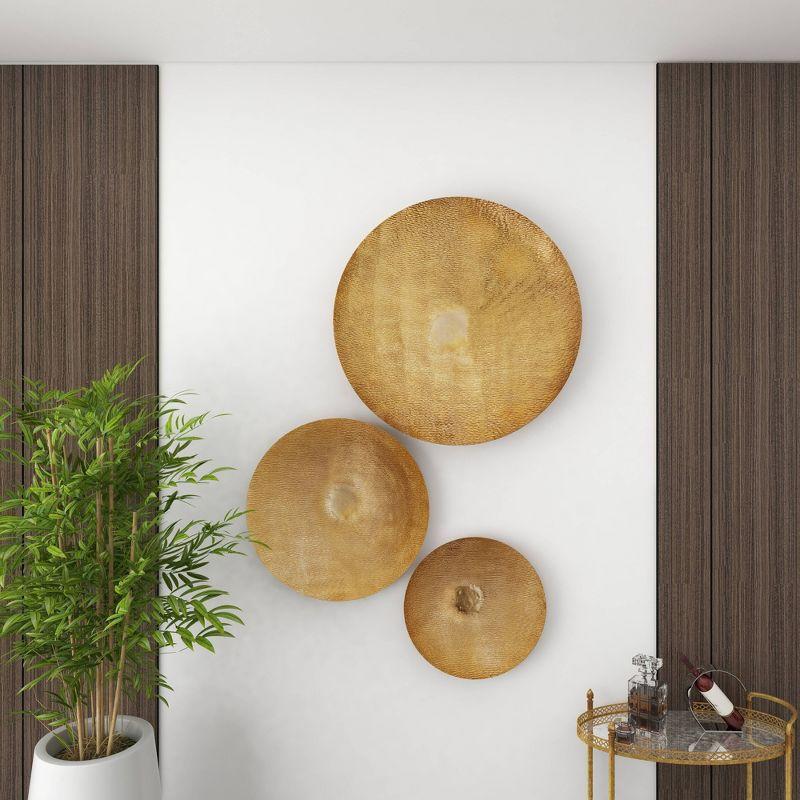 Set of 3 Metal Plate Large Metallic Disk Wall Decors - Olivia & May