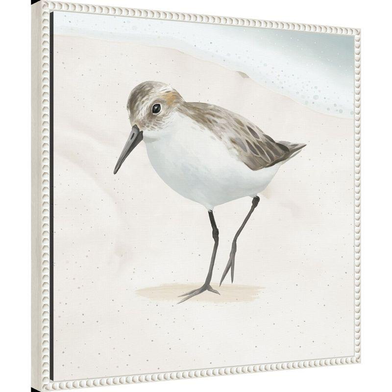 Amanti Art Sandpiper on the Beach II by Lucca Sheppard Canvas Wall Art Print Framed 22 x 22-in.