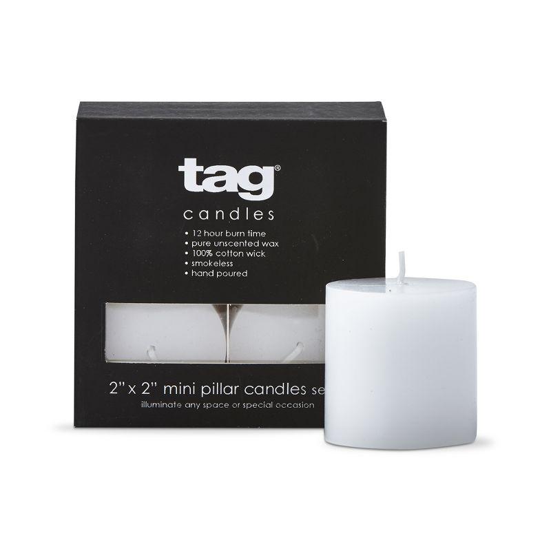 TAG Unscented Votive Candle