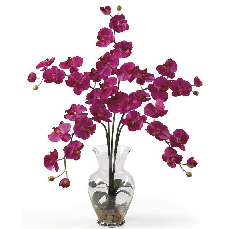 Beauty Phalaenopsis Orchid in Clear Glass Vase with River Rocks