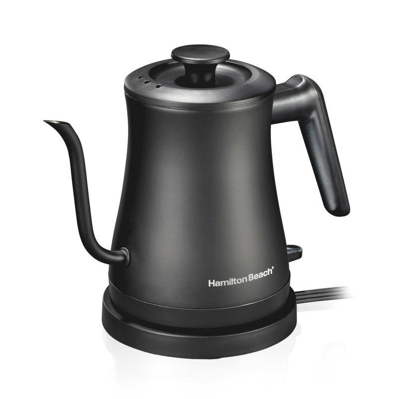 Hamilton Beach .6 Liter Gooseneck Kettle Black 41045: Electric Water Kettle, Stainless Steel, 1200W, Hand Wash