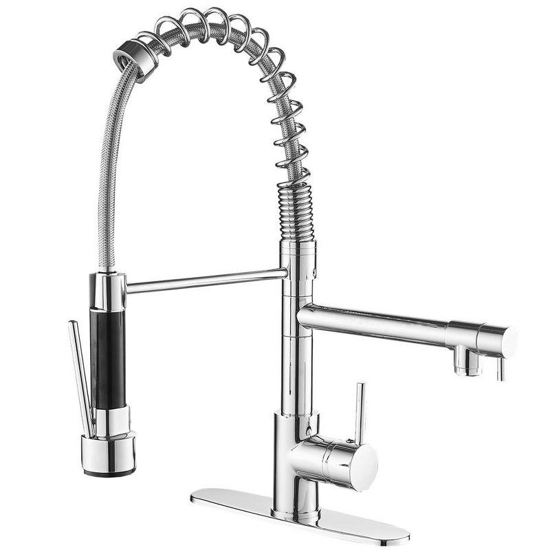 Pull Down Single Handle Kitchen Faucet with Accessories