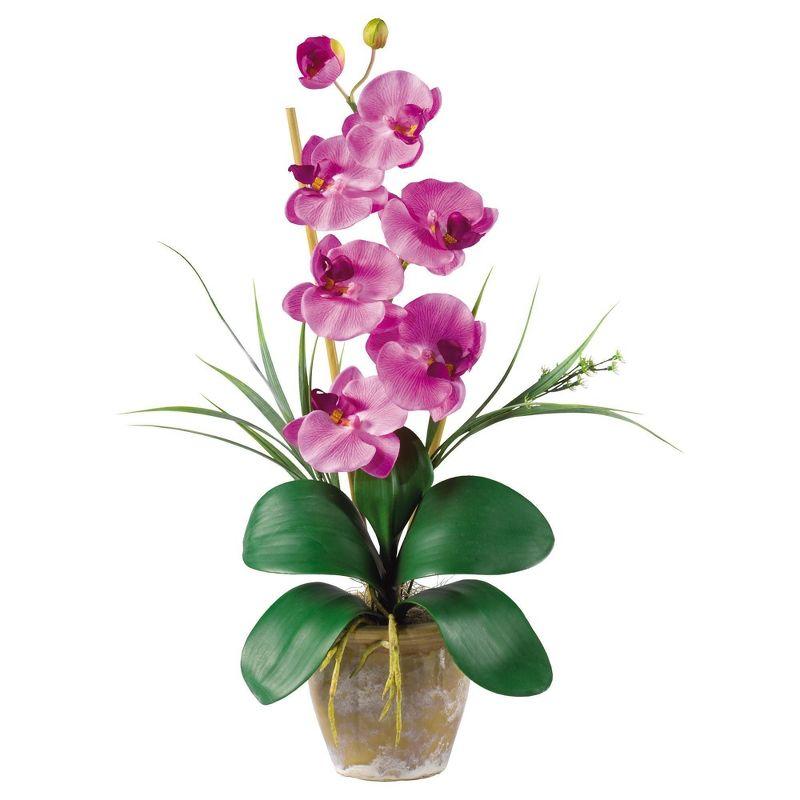 Nearly Natural Phalaenopsis Silk Orchid Flower Arrangement, Dark Pink