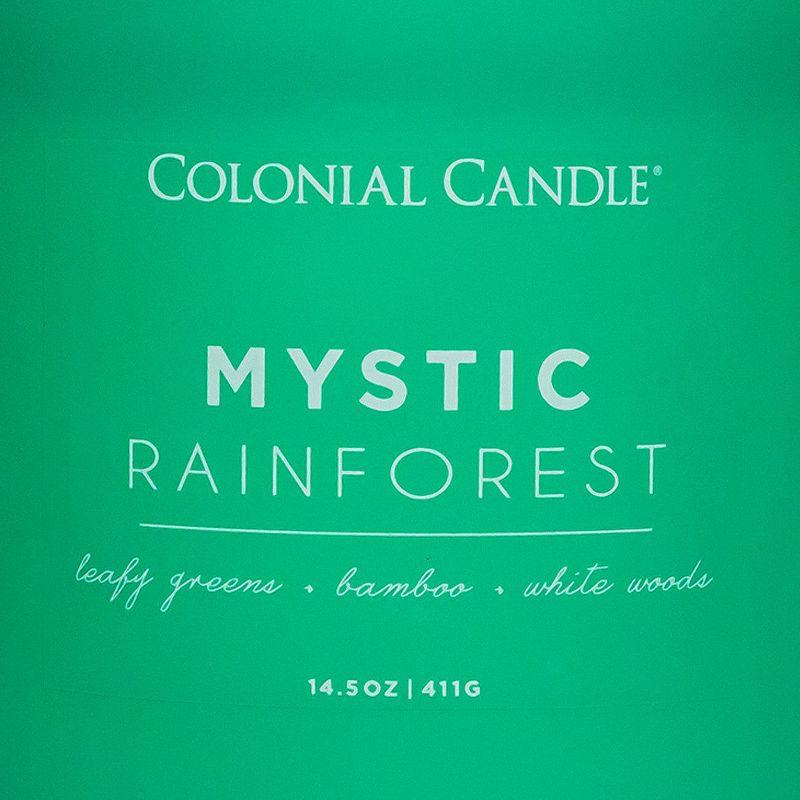 Pop of Color 3-Wick Mystic Rainforests Scented Jar Candle 14.5oz - Colonial Candle
