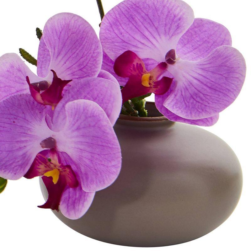 7" x 6.5" 3pc Artificial Phalaenopsis Orchid Arrangement in Ceramic Pot Set - Nearly Natural