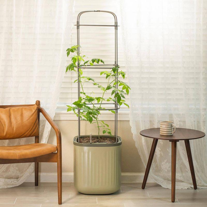 Vego Garden Mini Tomato Plastic Outdoor Pot Planter with Trellis