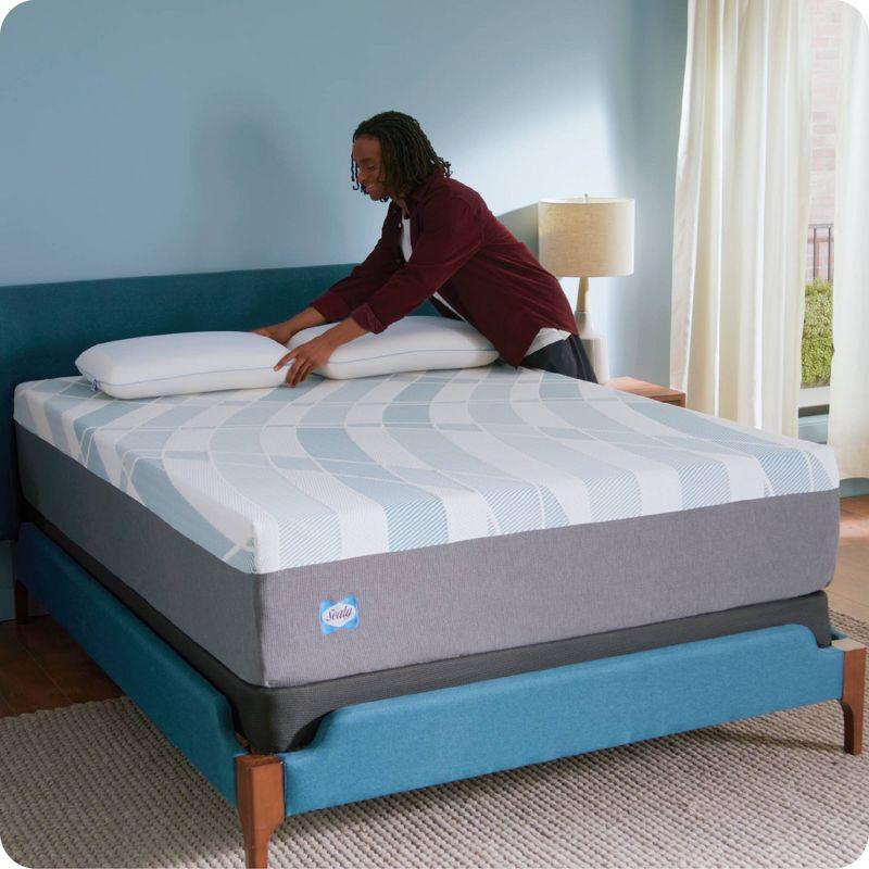 Sealy Dreamlife 14" Foam Mattress