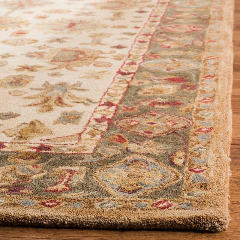 Anatolia AN547 Hand Tufted Area Rug  - Safavieh