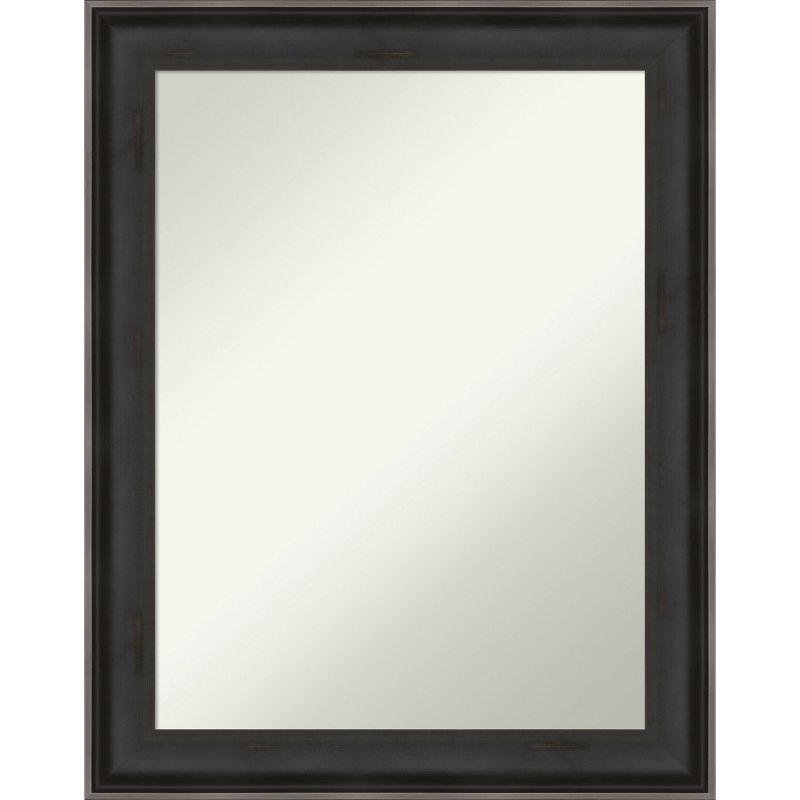 Allure Charcoal 28.5" x 22.5" Wood Framed Wall Mirror