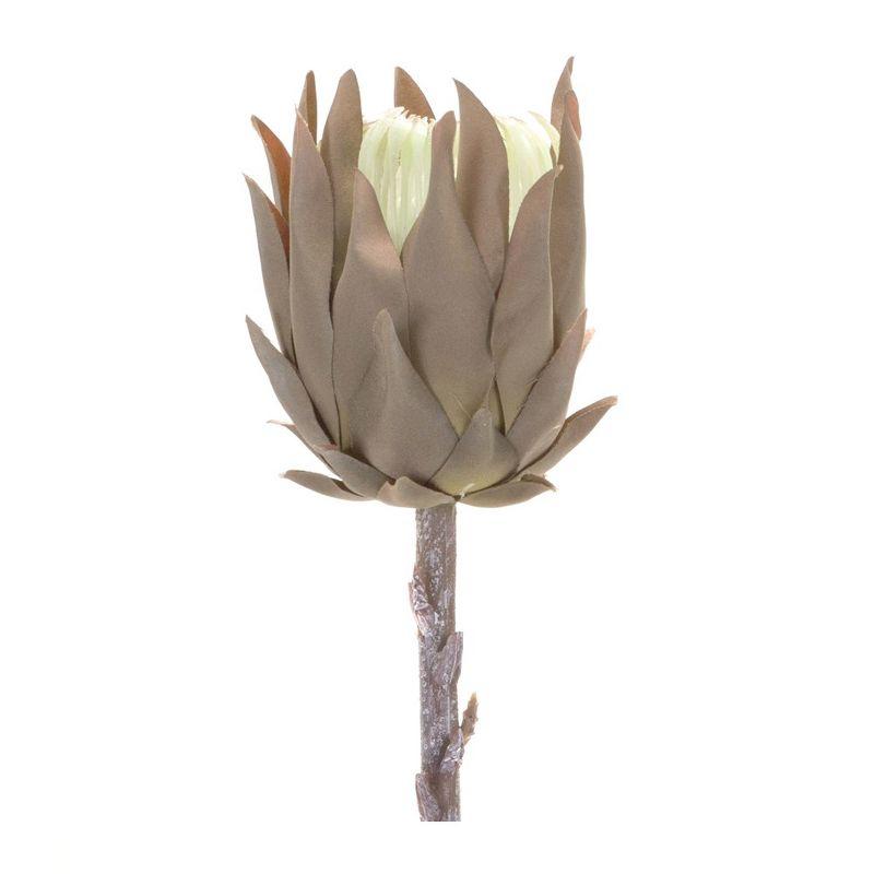 Brown 20" Plastic Protea Stem Arrangement Set