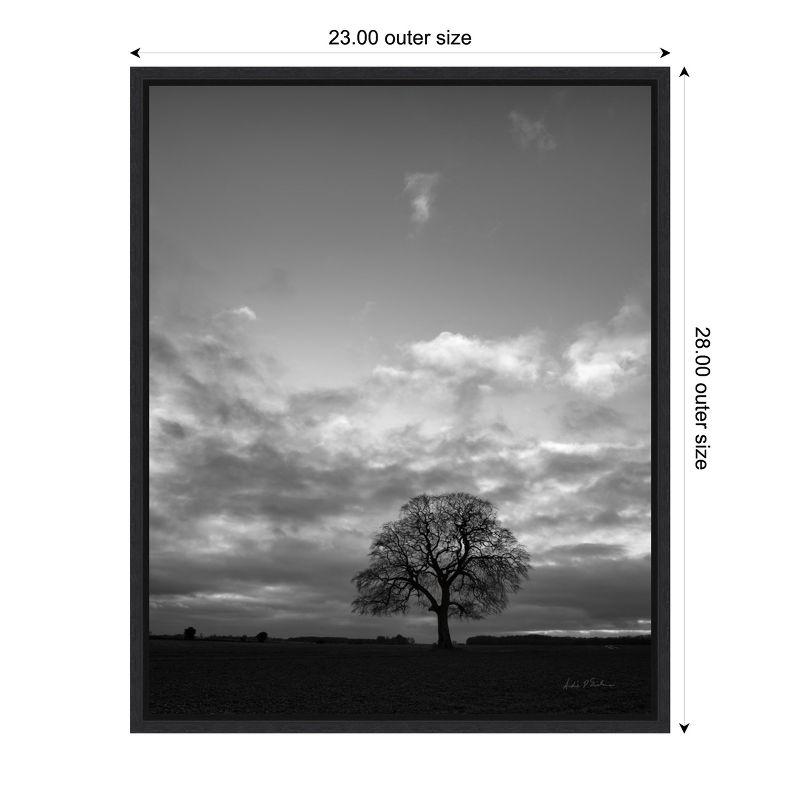 Amanti Art Horizon Tree BW by Andre Eichman Canvas Wall Art Print Framed 23 x 28-in.