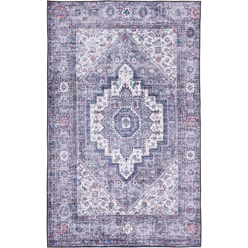 Tucson TSN198 Power Loomed Machine Washable Area Rug  - Safavieh