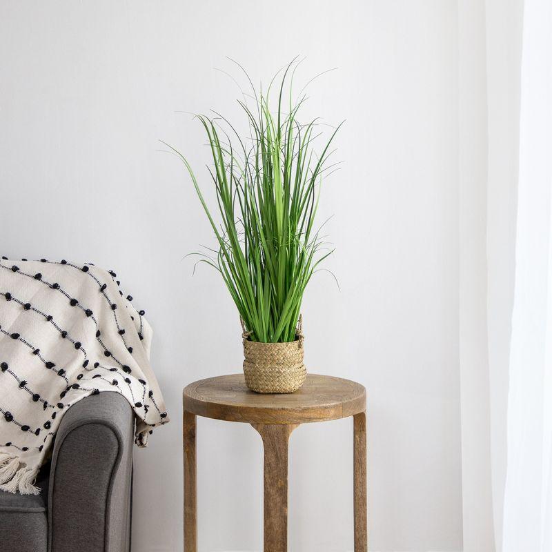 28'' Faux Onion Grass Tree in Basket